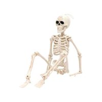 Csontváz - 40 cm
