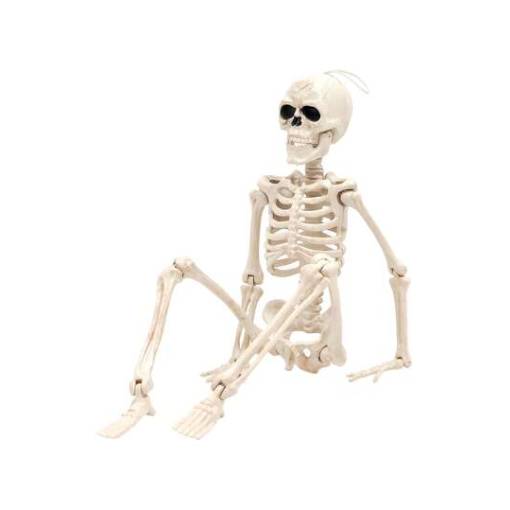 Foto - Csontváz - 40 cm